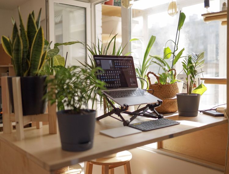 The Remarkable Benefits of Setting Up a Virtual Office